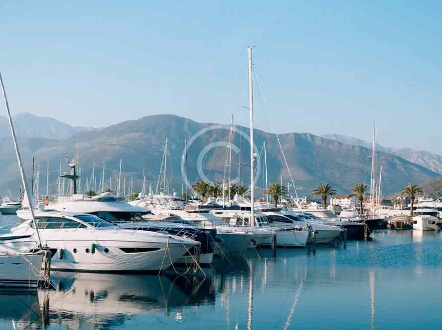 Post30 Copyright 890x664