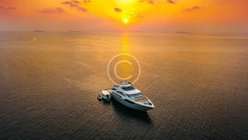 Post14 Copyright 840x473