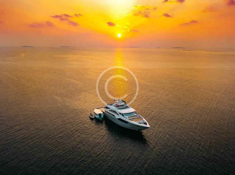 Post14 Copyright 890x664