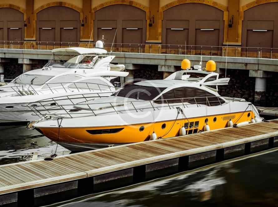 Post15 Copyright 890x664