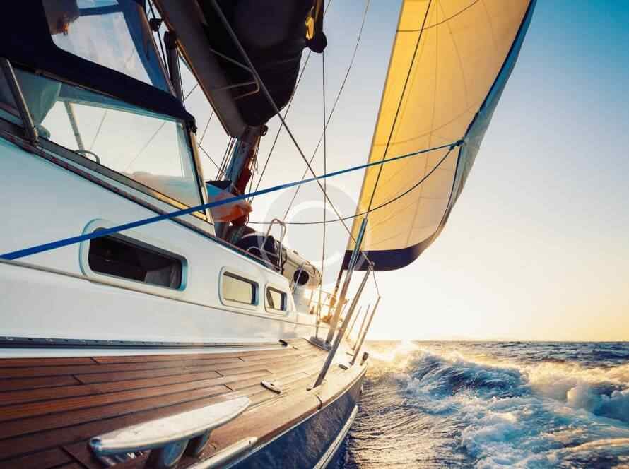 Post22 Copyright 890x664