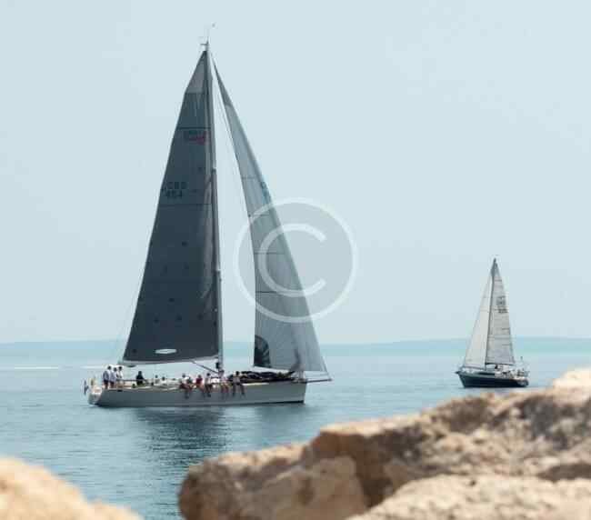 Portf13 Copyright 650x572